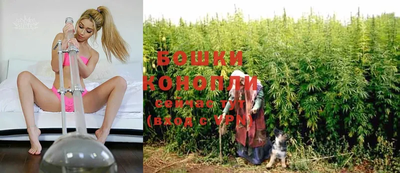 ссылка на мегу маркетплейс  даркнет сайт  Динская  Каннабис OG Kush 